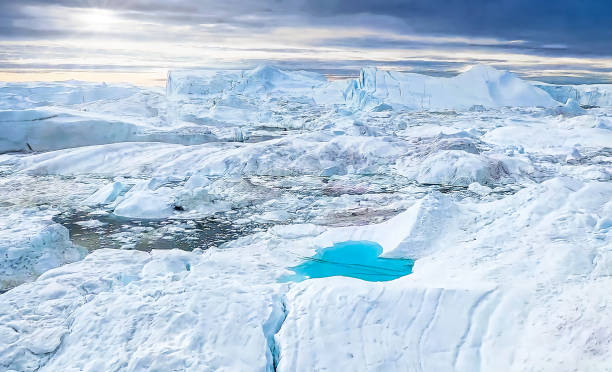 ORCAS Atrapadas en el Hielo