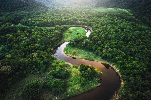 Los ríos más largos del mundo: Río Amazonas